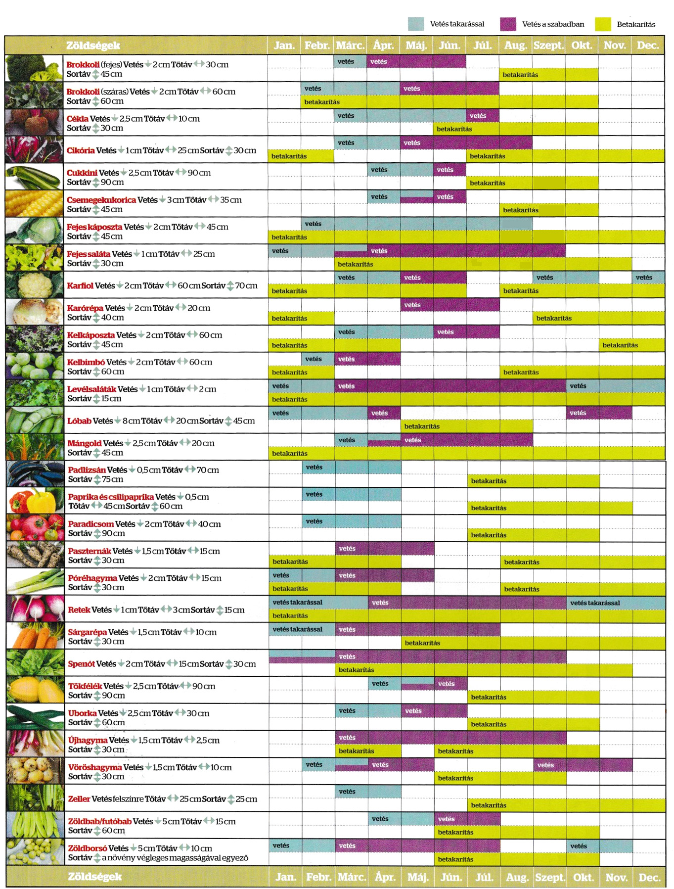 zöldségkalendárium